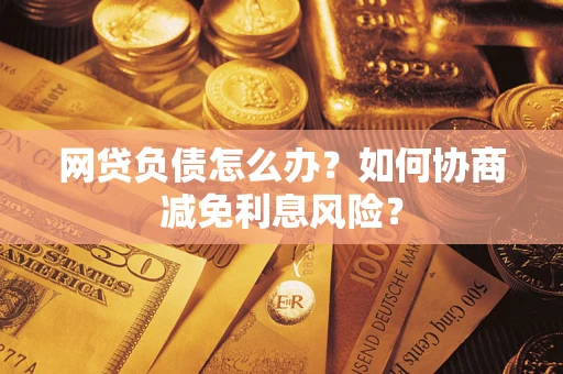 武汉网贷负债怎么办？如何协商减免利息风险？