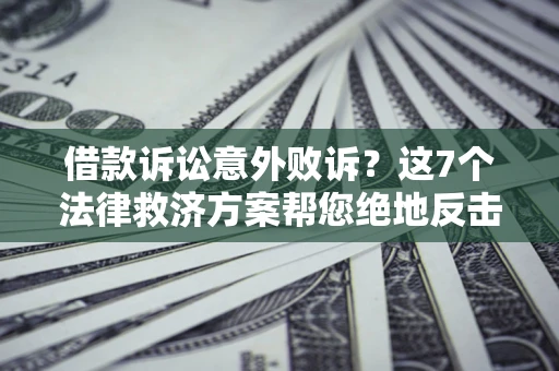 武汉借款诉讼意外败诉？这7个法律救济方案帮您绝地反击！