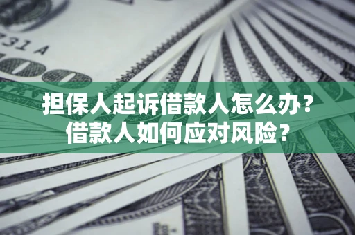 武汉担保人起诉借款人怎么办？借款人如何应对风险？